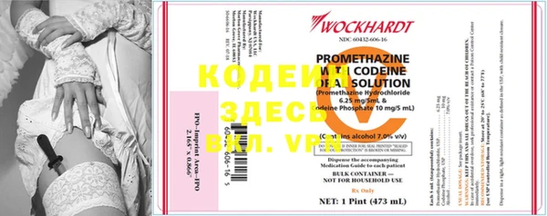 стаф Щигры