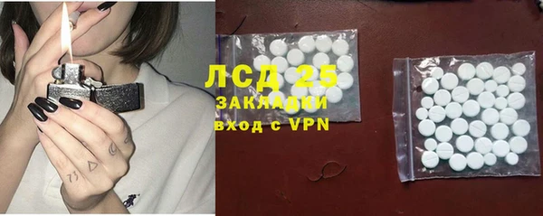 прущие грибы Медногорск