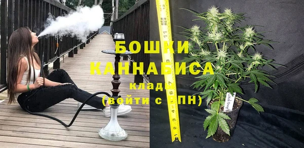 прущие грибы Медногорск