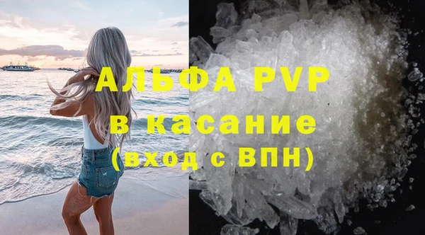 прущие грибы Медногорск