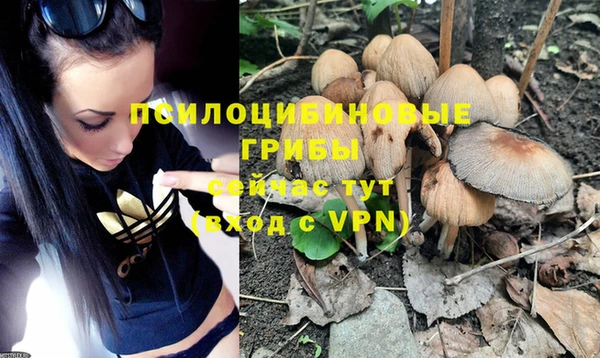 мдпв Мегион