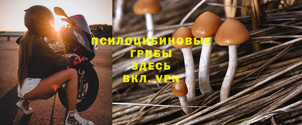 мдпв Мегион