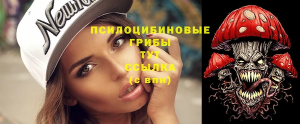 прущие грибы Медногорск