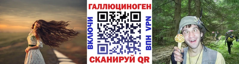 наркотики  Новопавловск  Псилоцибиновые грибы MAGIC MUSHROOMS 